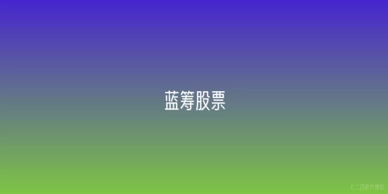 蓝筹股票
