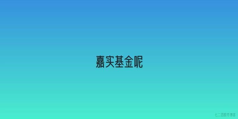 嘉实基金呢
