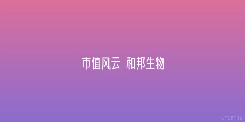市值风云 和邦生物