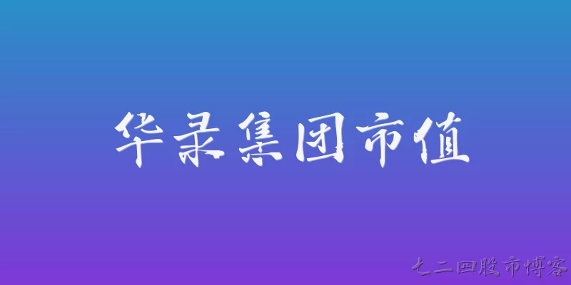 华录集团市值