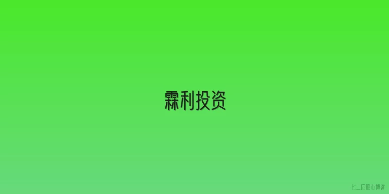 霖利投资
