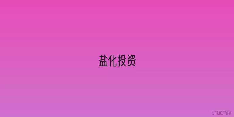 盐化投资